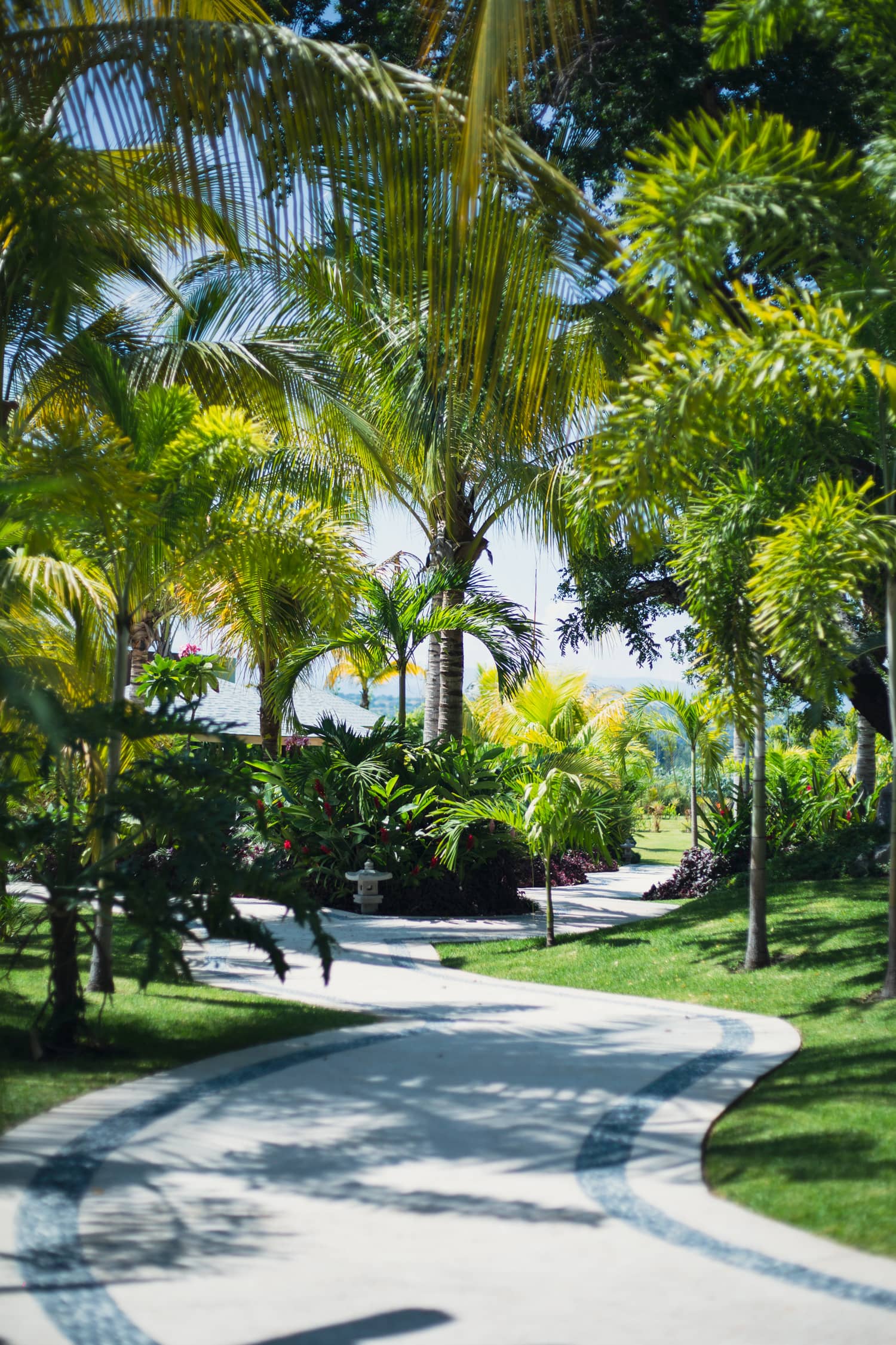 Sendero entre palmeras y jardines de Soulspring
